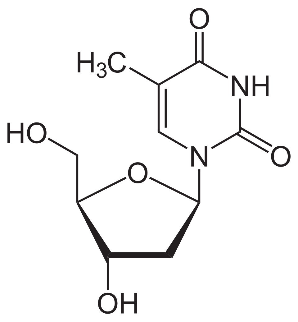 <p>name this nucleoside</p>