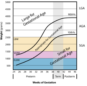<p>Low birth weight - < 2,500 g (5 lb, 8 oz)<br>Very low birth weight - < 1,500 g (3 lb, 5 oz)<br>Extremely low birth weight - > 1,000 g (2 lb, 3 oz)</p>
