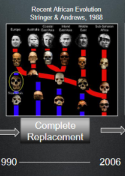 <p>Models for modern human origins:</p><p>Recent African Origins</p>