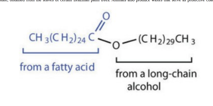 <p>Left side: Large Fatty acid, big hydrocarbon chain</p><p>RIght Side: Large alcohol</p><p>BOnded in the middle by a ester bond</p>