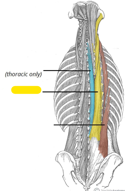 <p></p>