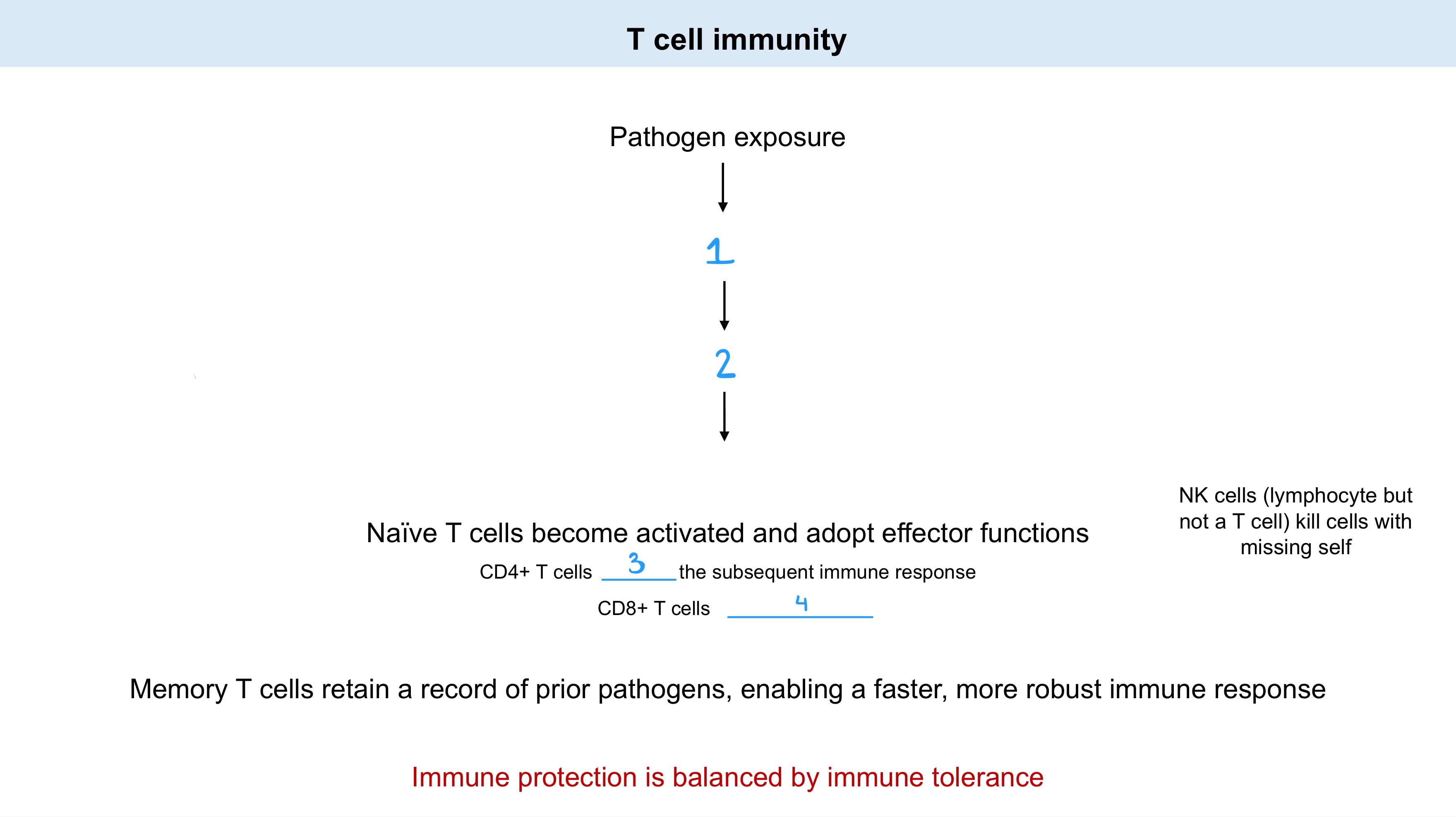 <p>Fill in blanks!</p>