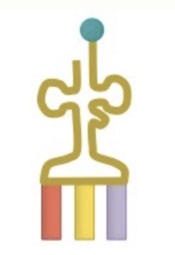<p>Transfer RNA - Delivers the amino acid to the growing protein chain</p>
