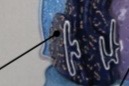 <p>What is this structure?</p>