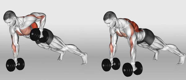 <p>Back, core</p>