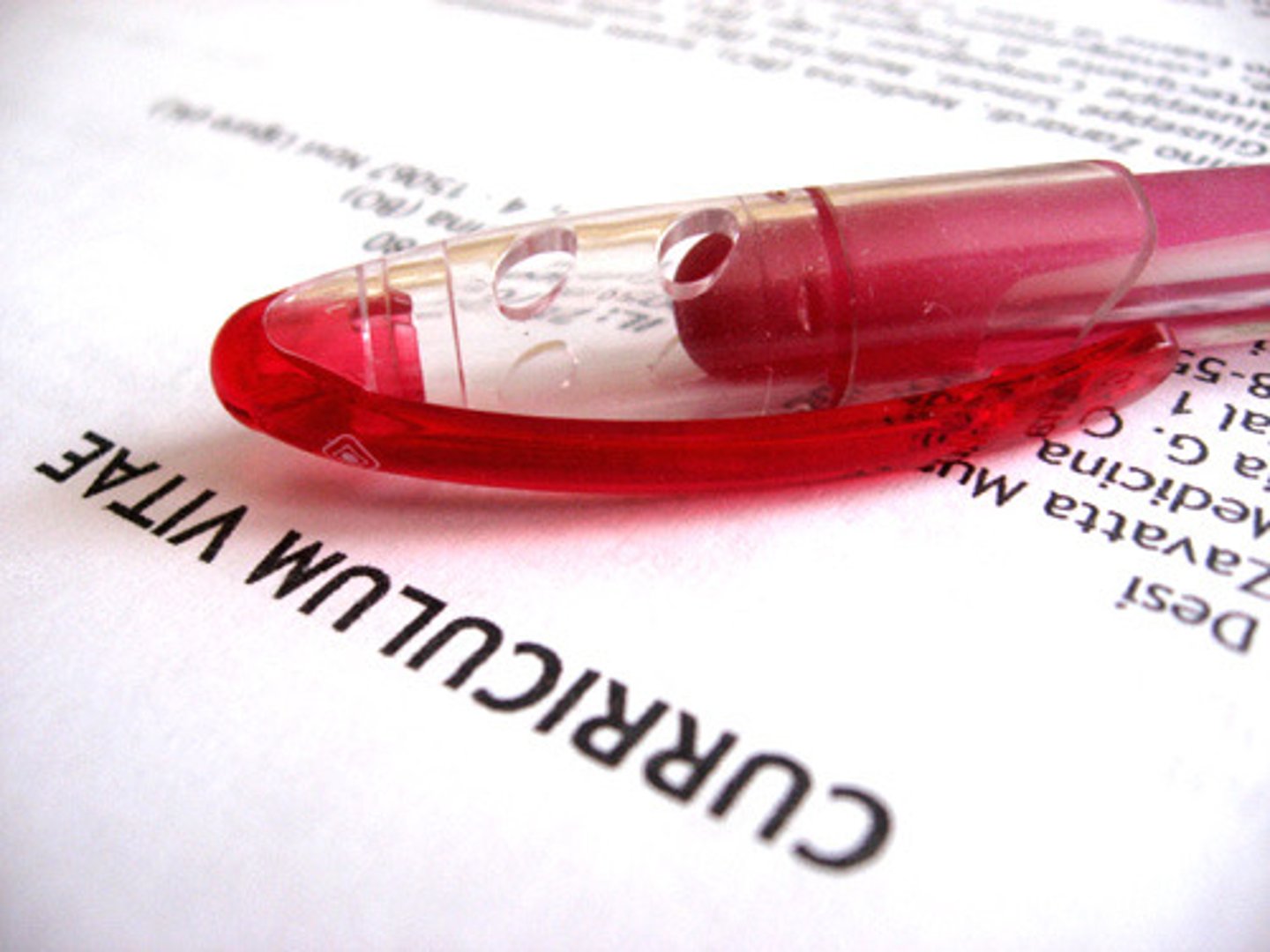 <p>(n) sơ yếu lý lịch (CV, curriculum vitae)</p>