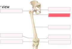 <p>What should go in the highlighted red blank?</p>