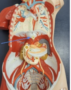 <p>name the parts</p>
