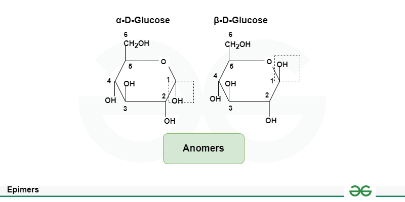 <p>stereoisomers that differ in orientation about the anomeric carbon , where one is typically a carbohydrate's cyclic form and the other its open-chain form. e</p>