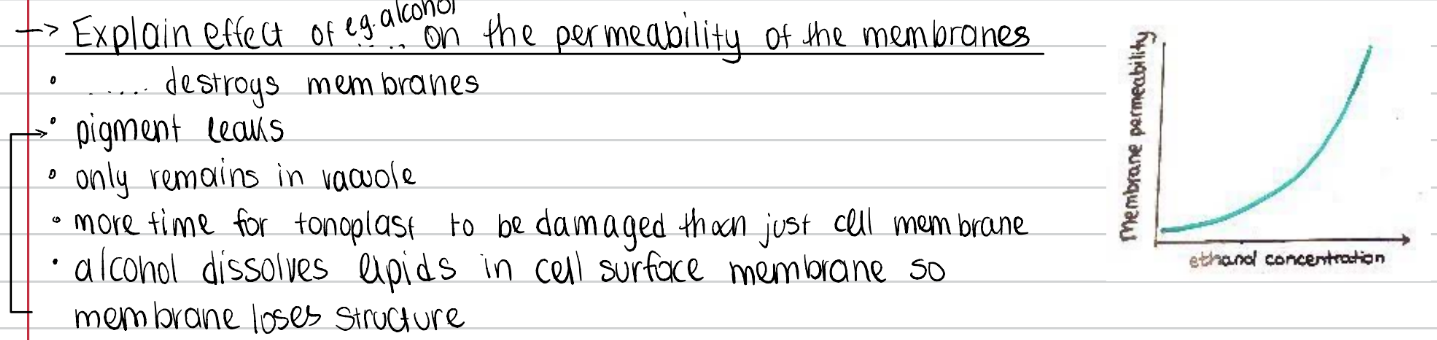 <p>effect of alcohol on membrane</p>