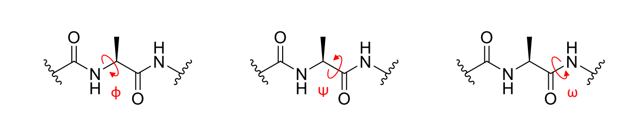 <p>what are/can be the values of <span>ϕ,ψ,ω?</span></p>