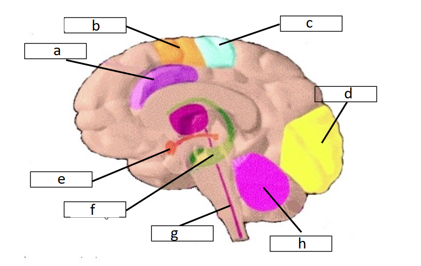<p>E</p>