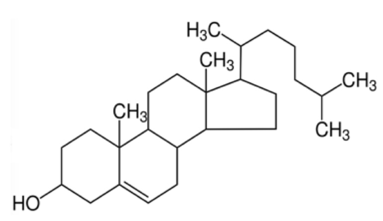 <p>What is the first committed step to the molecule shown?</p>
