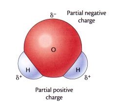 <p>Due to the unequal sharing of electrons</p>