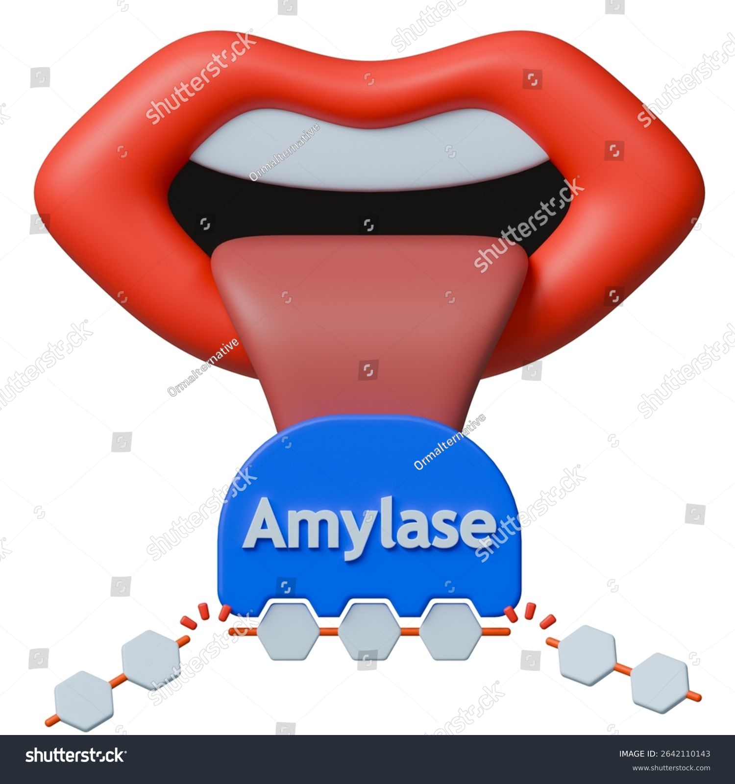 <p>Mouth: mechanically chewing and breaking down food, amylase (carbohydrate enzyme)</p>
