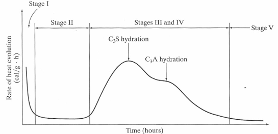 <p>Stage V represents? </p>