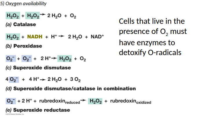 <p>detoxify O-radicals</p>