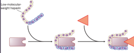 <p>What does low molecular weight heparin (LMWH) bind/activate?</p>