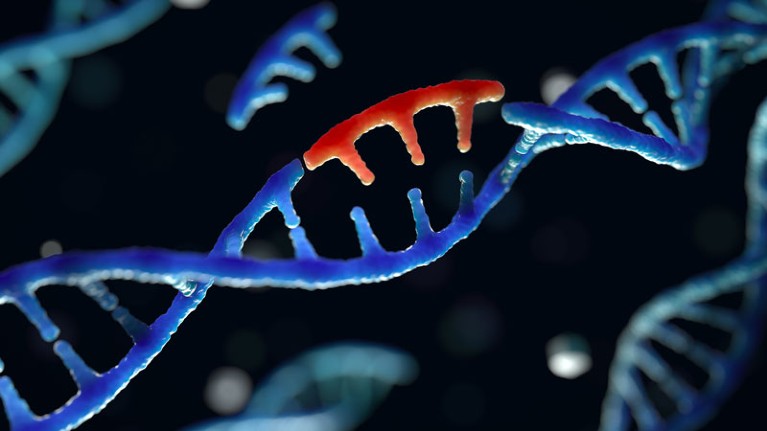<p>(verb) to undergo or cause a genetic change</p>