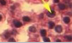 <p>What is being shown?</p>