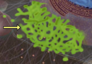 <p>Gen cell</p>