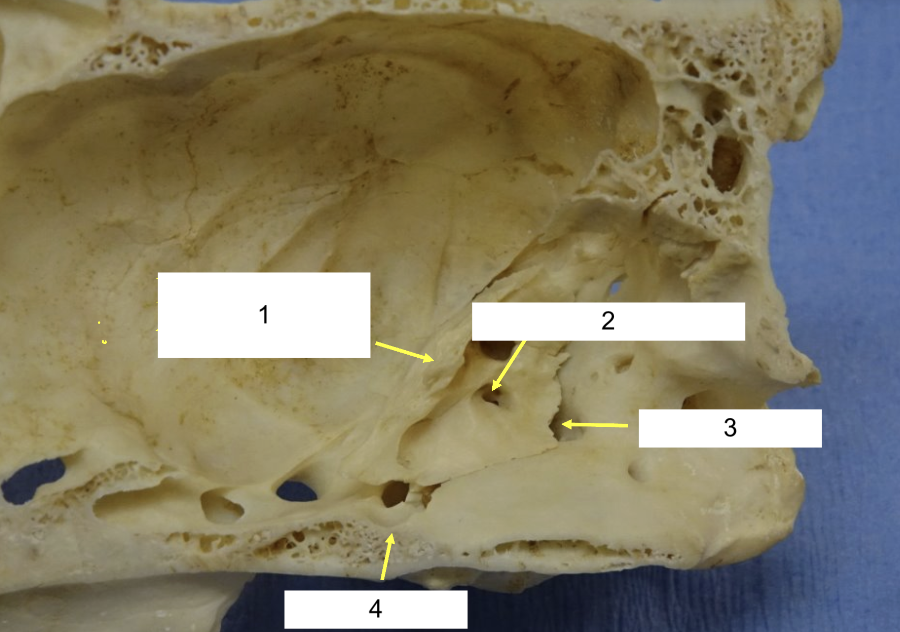 <p>What is 1?</p>