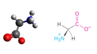 <p>Glicina</p>