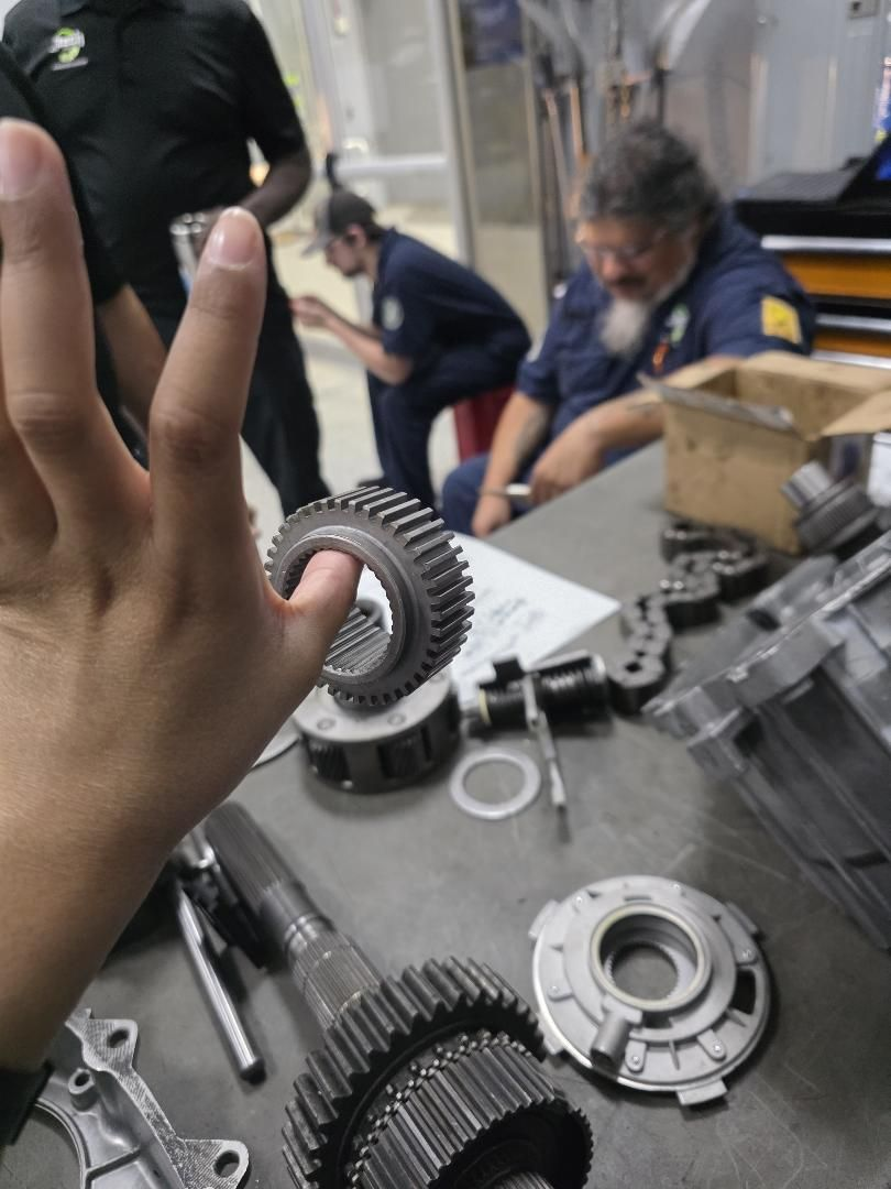 <p>Speedometer Gear</p>