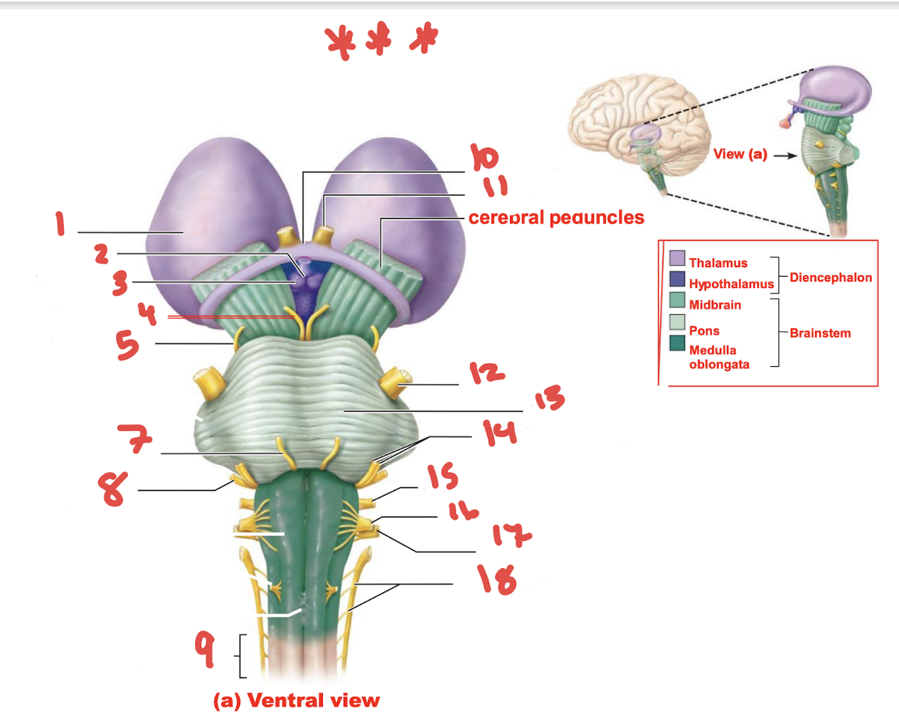 <p>What is number 11 ***</p>