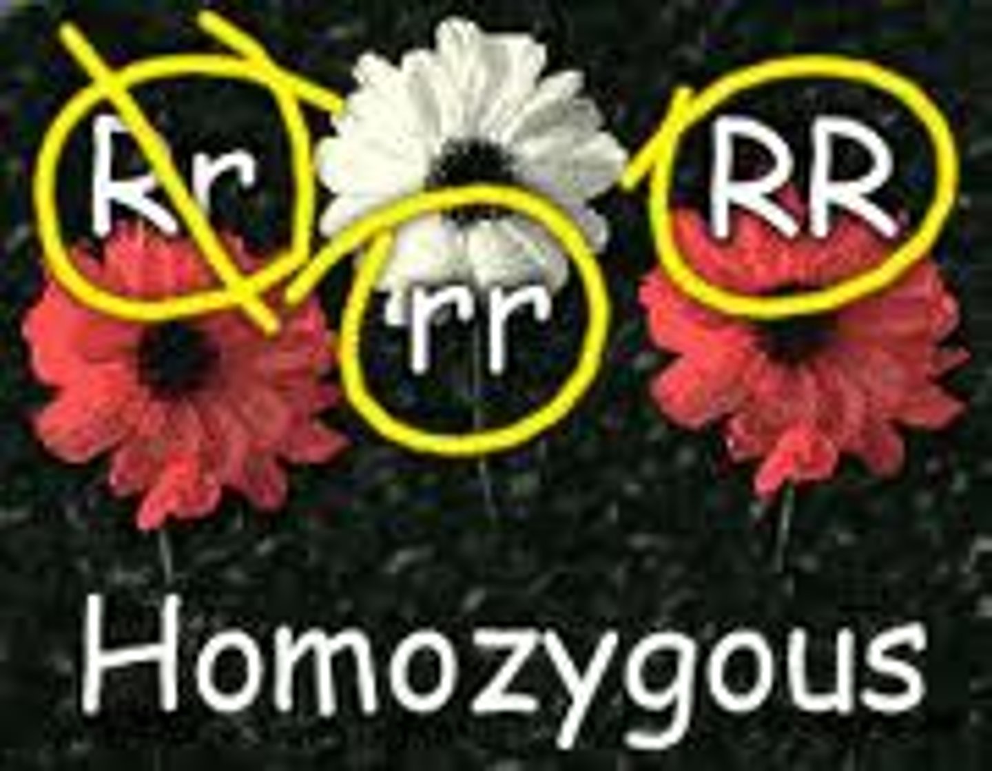 <p>đã xem xét</p><p>/kənˈsɪd.ɚd/</p>