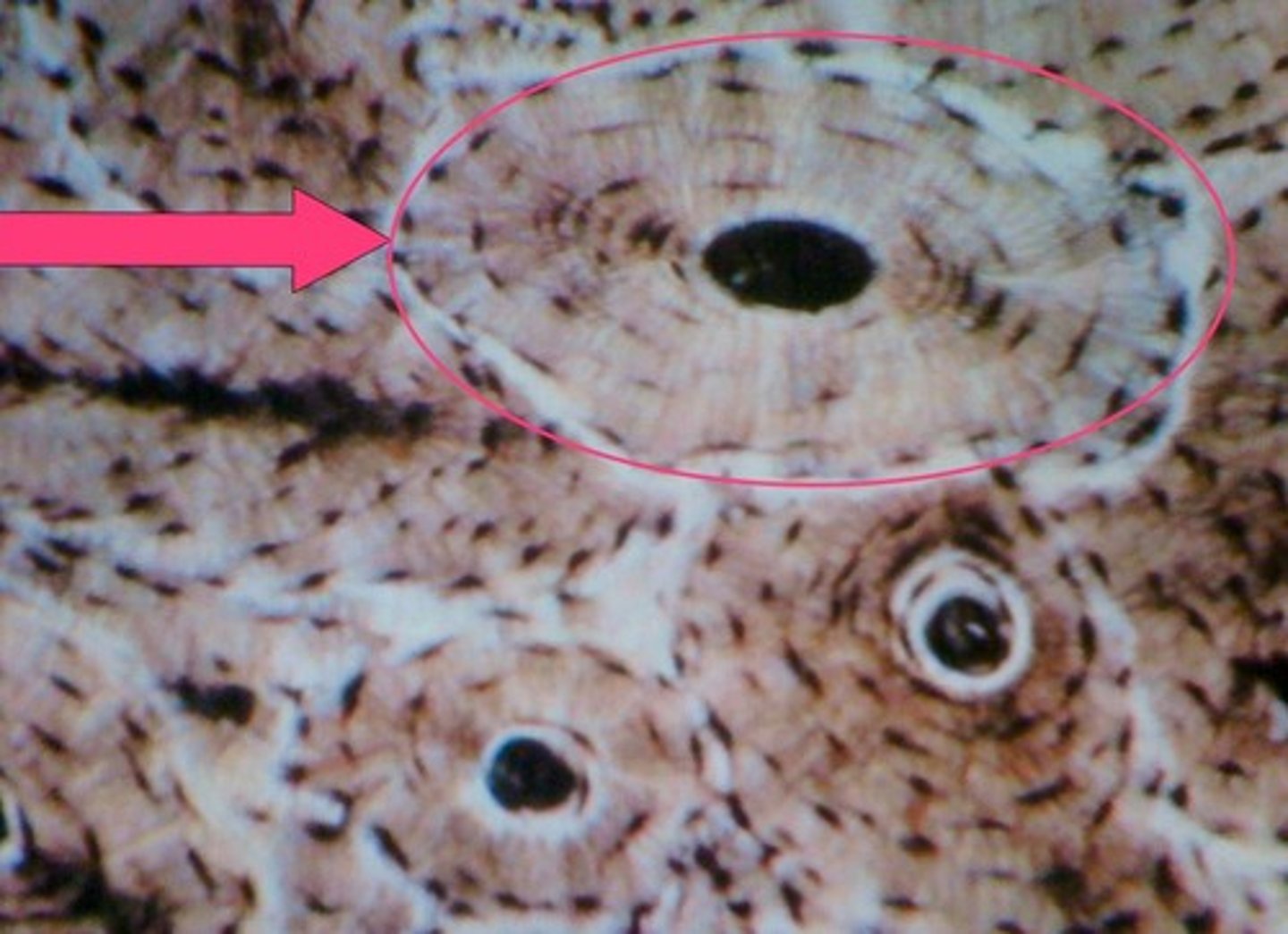 <p>type of structure?</p>