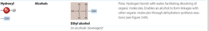 <p>An Alcohol, and Polar</p>
