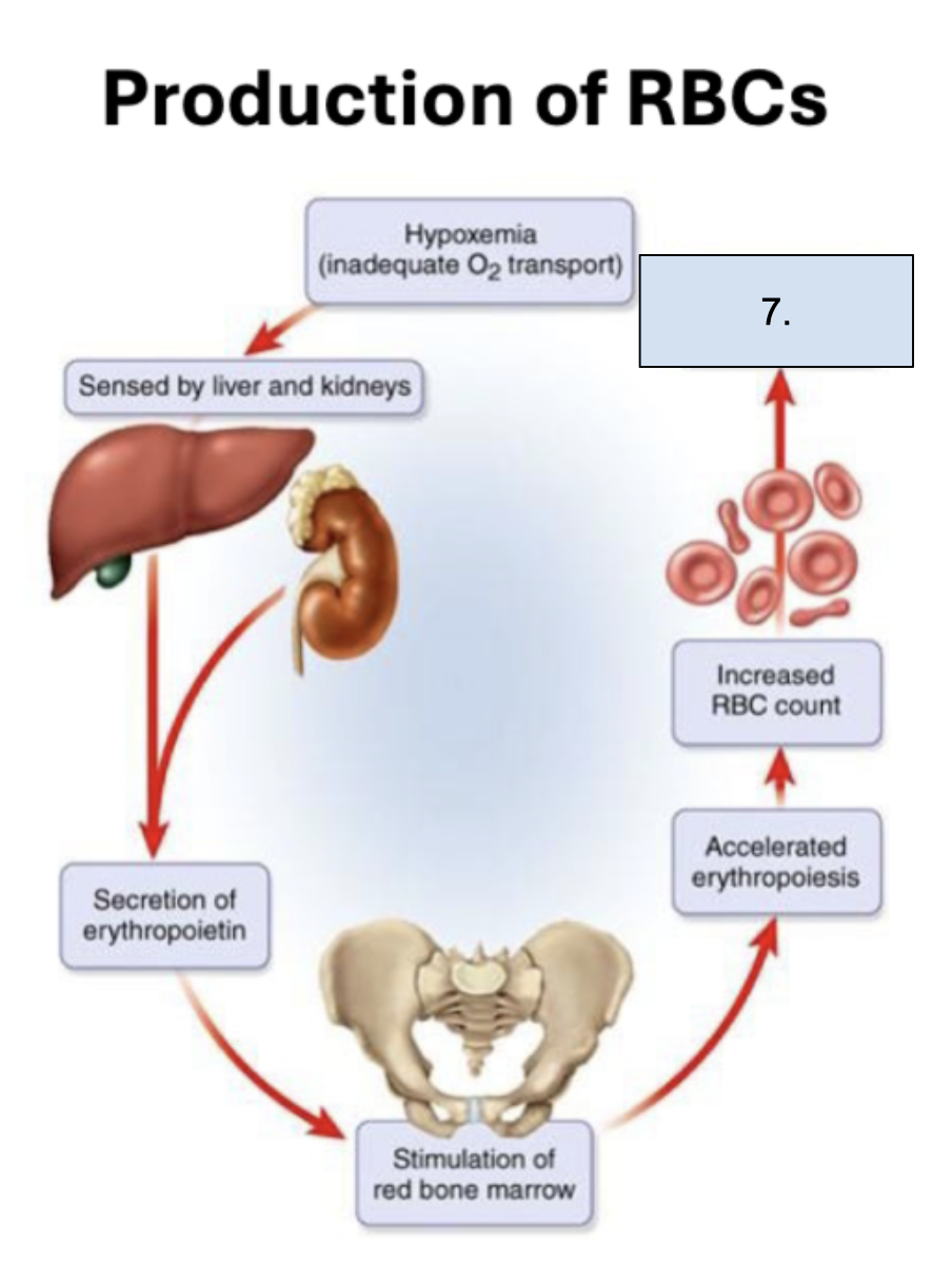 <p>What is happening in this step?</p>