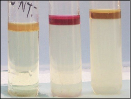 <p>tryptophanase</p><p>hydrolyzation of tryptophan produces indole, pyruvate and ammonia NH3; indole reacts to form a cerise ring</p>