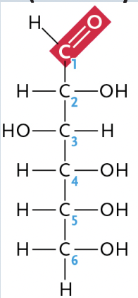 <p>Which Molecule is this?</p>