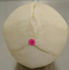 <p>4</p>