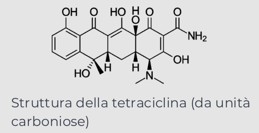<ul><li><p><span><strong><span>Naftacenici</span></strong><span>: Tetracicline</span></span></p></li><li><p><span><strong><span>Ansamicine</span></strong><span>: Rifampicine</span></span></p></li><li><p><span><strong><span>Spiranici</span></strong><span>: Griseofulvina</span></span></p></li></ul><p></p>