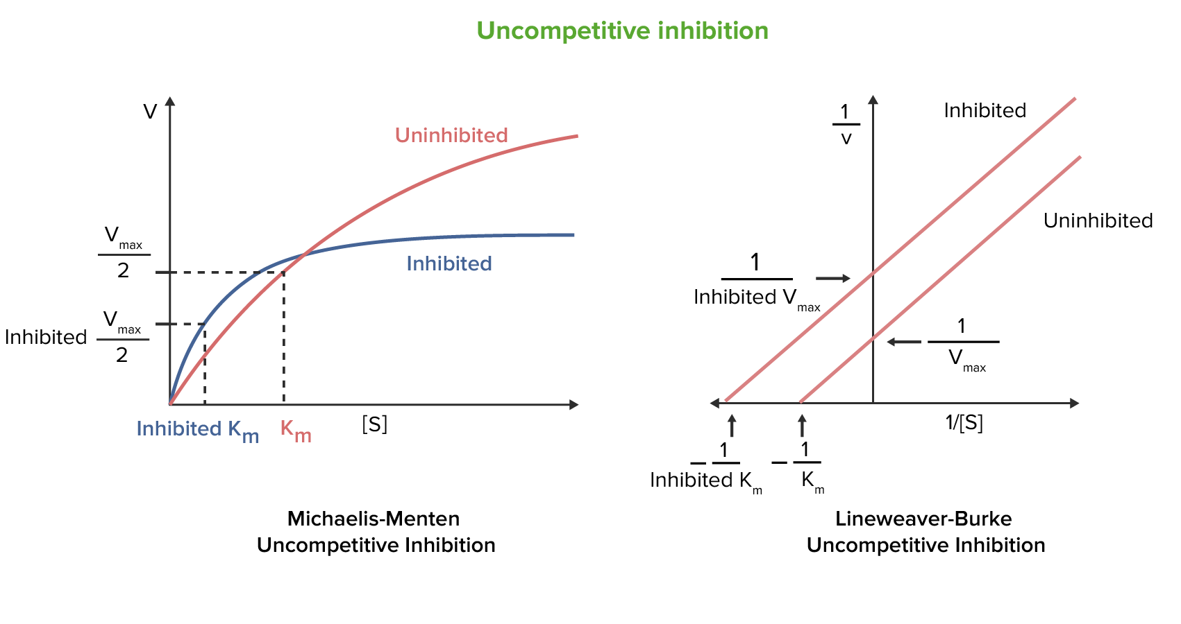 <p>This image shows the MM graph of what</p>
