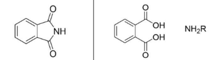 <p>Name the reactants</p>