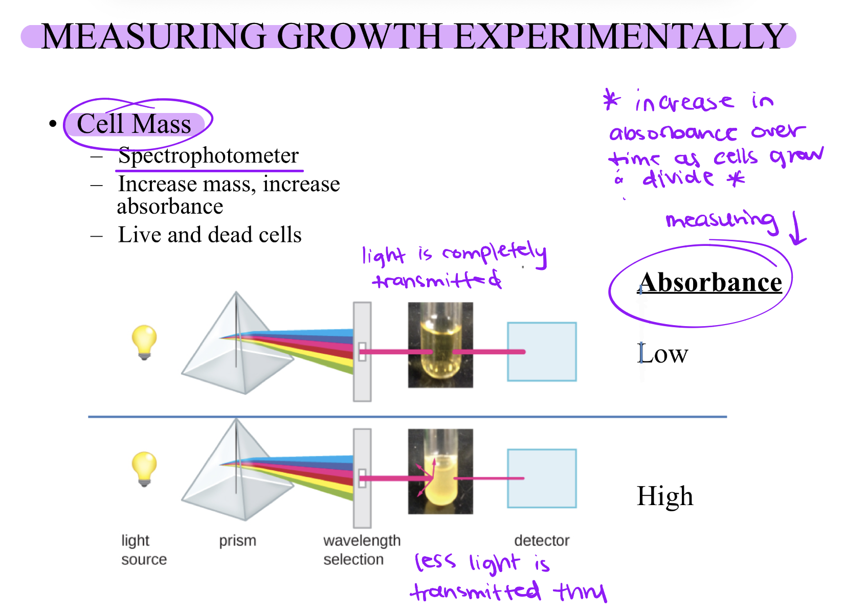 <p>Cell Mass</p>