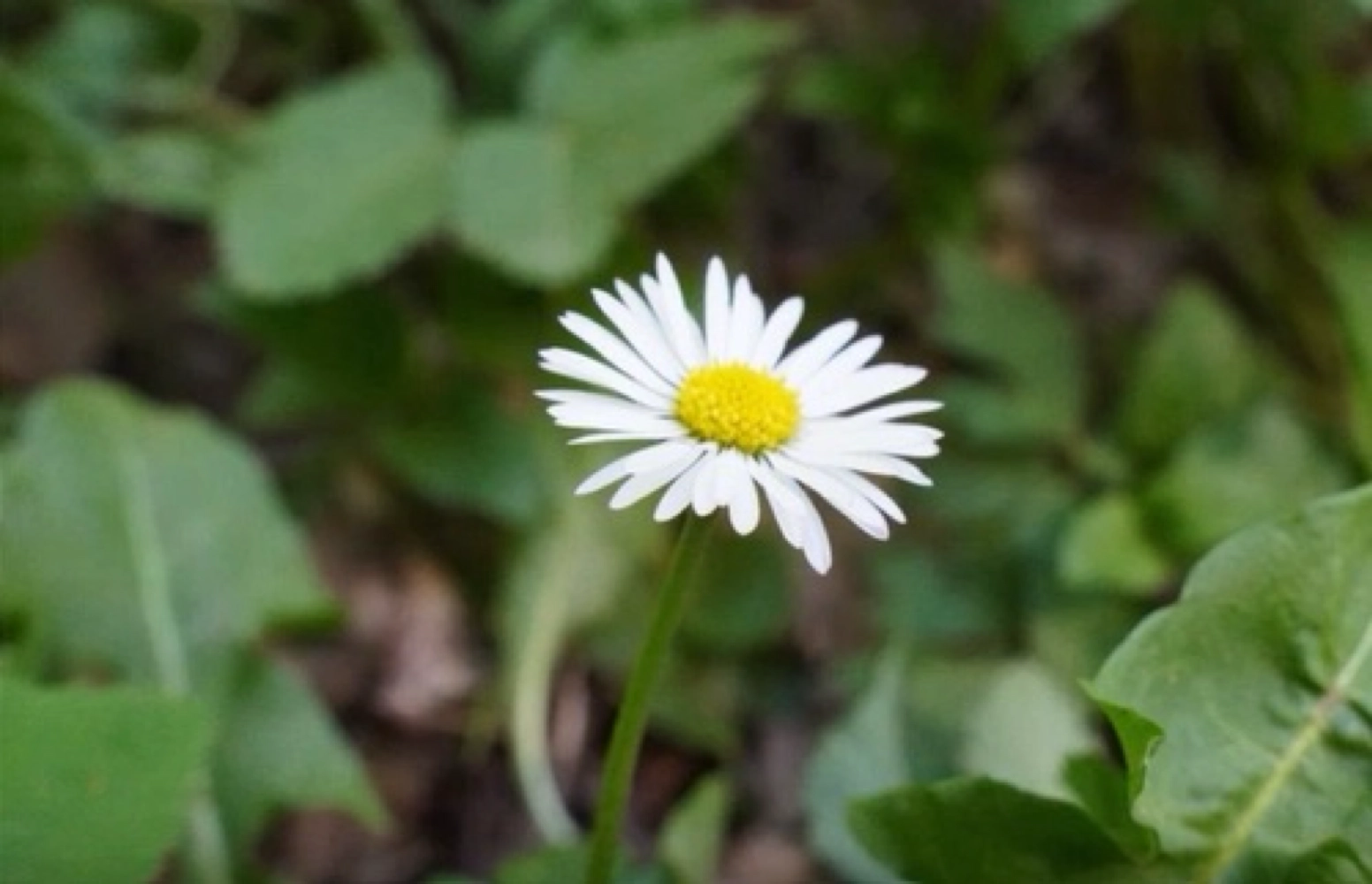 <p>g</p>