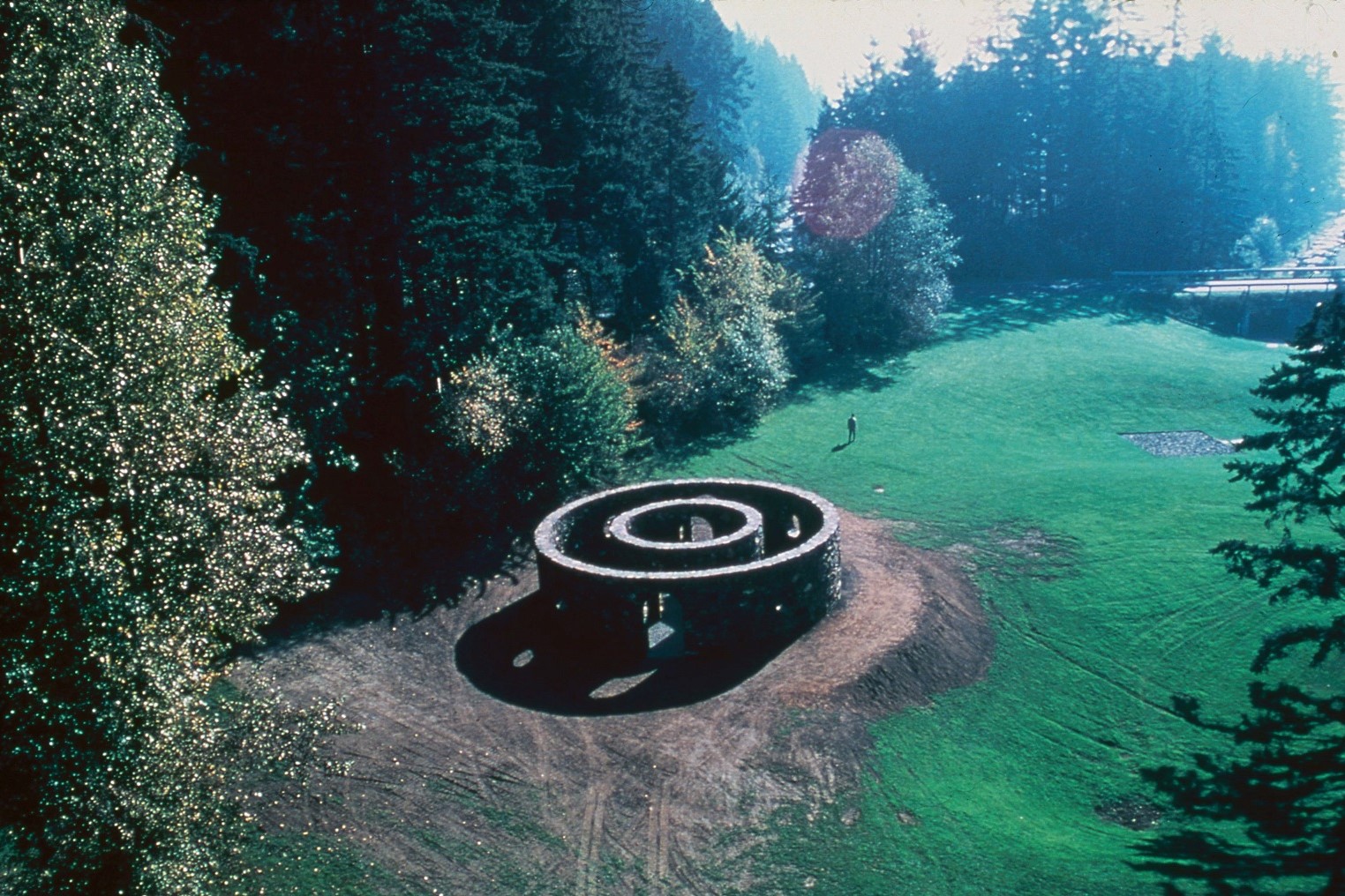 term image