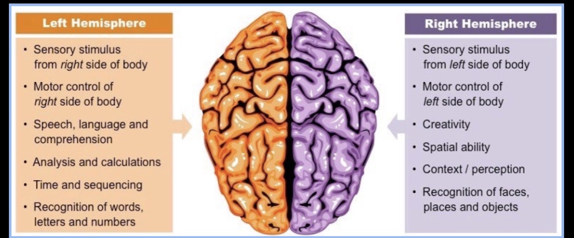 <p>Nonverbal communication.</p>