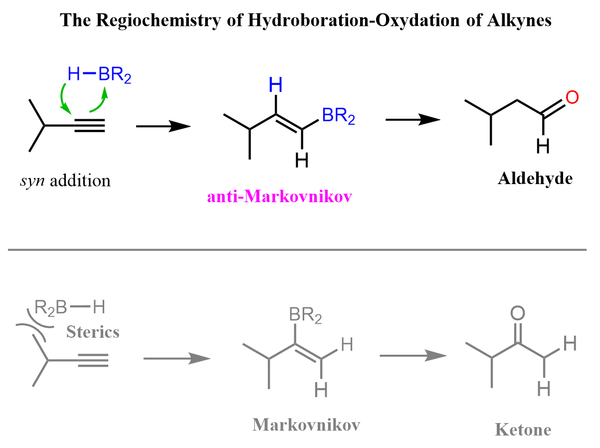 <p>☆ <strong>why is hydroboration anti-Markovnikov?</strong></p>