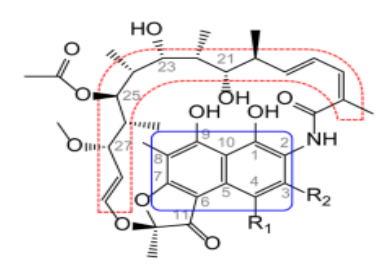 <p>RIFAMYCINS: Blue part represents?</p>
