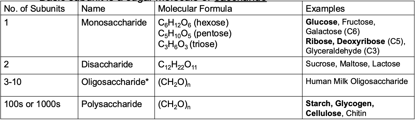 <p>• <em>n </em>is the number of carbon atoms. Generally <em>n </em>is between 3 – 8</p><p class="p2">• Often have the suffix –ose.</p><p class="p2">• Basic subunit is a sugar molecule or saccharide</p>
