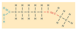 <p>a long <strong>hydrocarbon chain</strong> with a</p><p>carboxyl group at one end</p><p>at least one <strong>double bond between</strong></p><p><strong>carbon </strong>atoms</p>