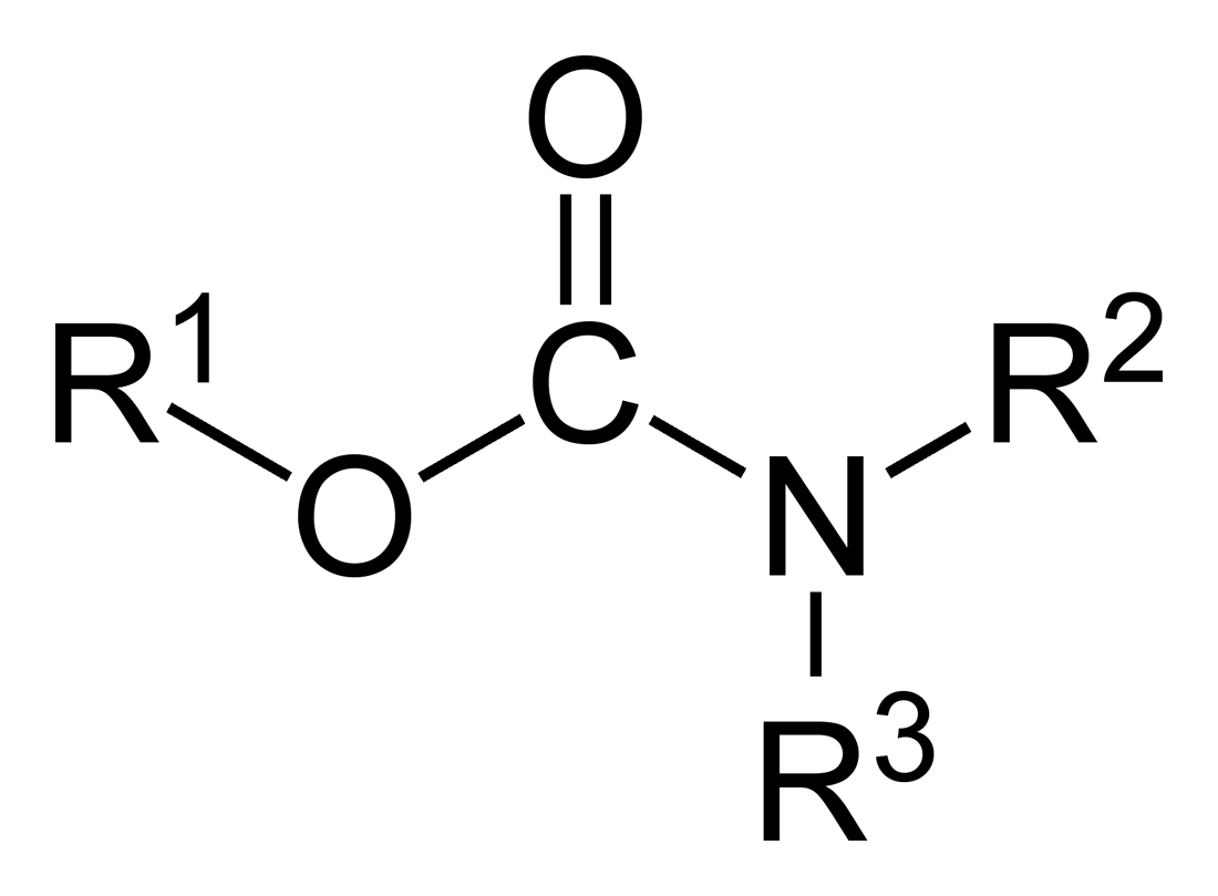 <p>What functional group is this?</p>