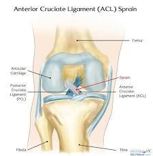 <p>What injury / condition? </p>