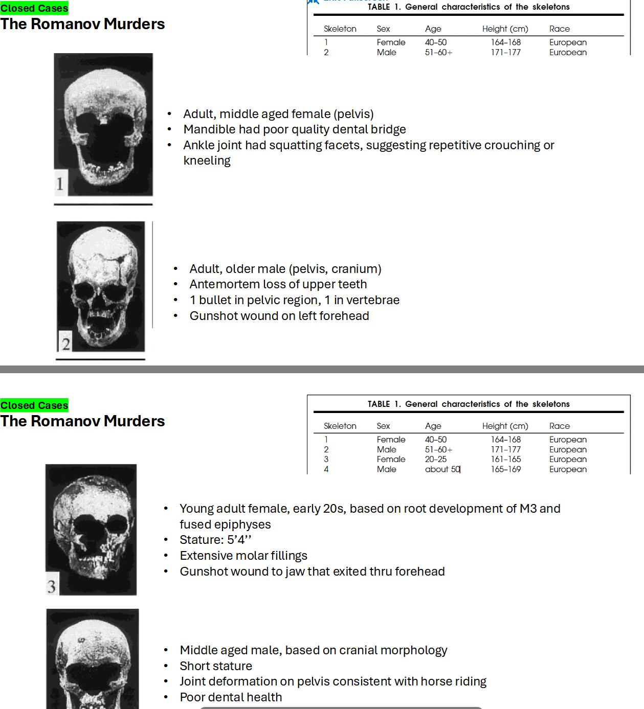 <p><span>Closed Cases: The Romanov Murders</span></p>